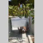 La Casa Di Claudia